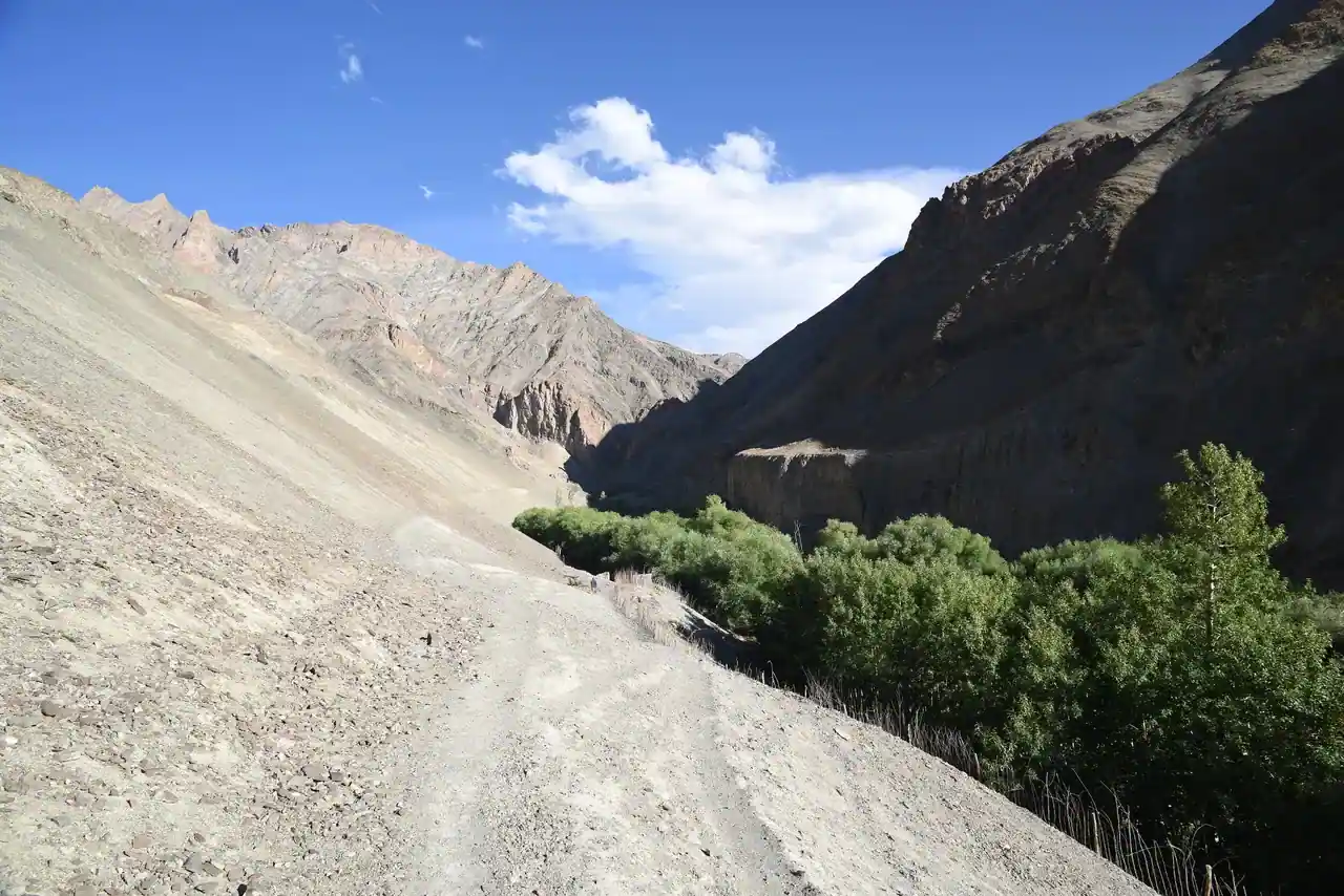 Leh in summer — view 3, Leh district, Ladakh