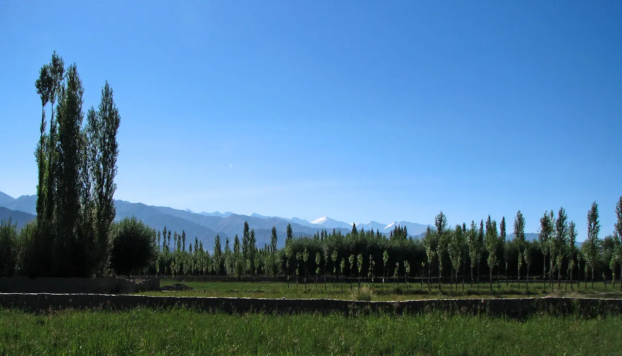 Leh under snow — view 1, Leh district, Ladakh