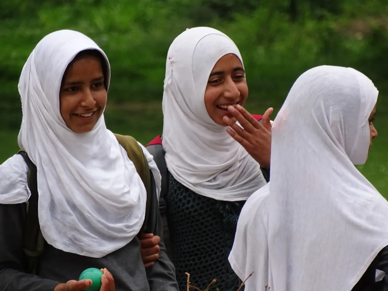 Mughal Gardens in summer — view 3, Srinagar district, Kashmir