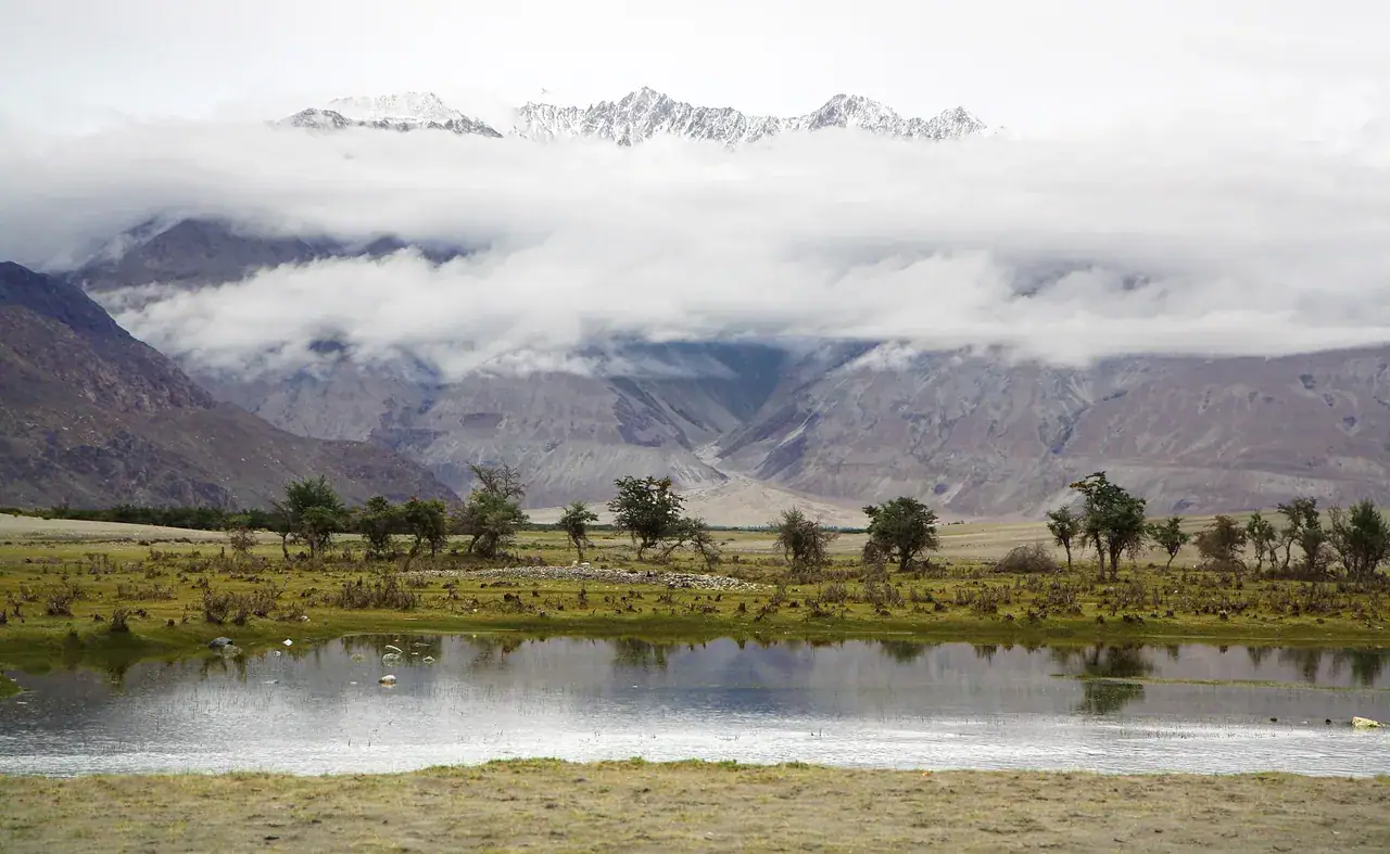 Nubra Valley in summer — view 3, Leh district, Ladakh