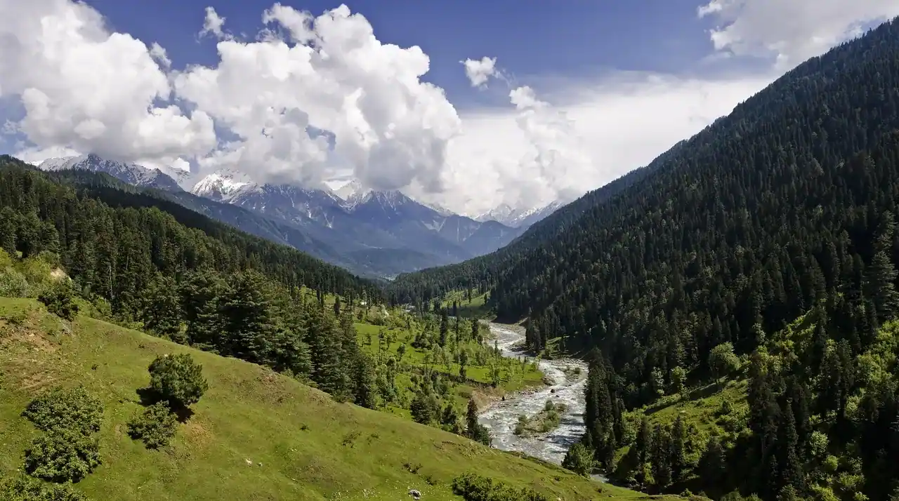 Pahalgam — pine forest, a trout river and three side valleys, Anantnag district, Kashmir