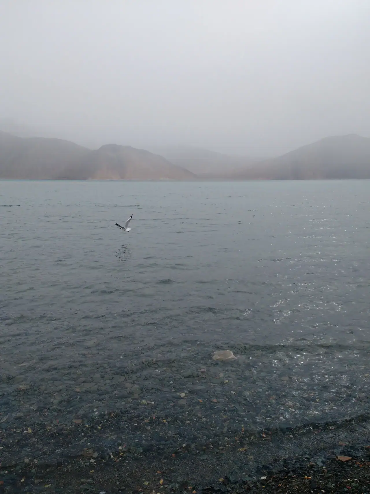 Pangong Tso under snow — view 1, Leh district, Ladakh