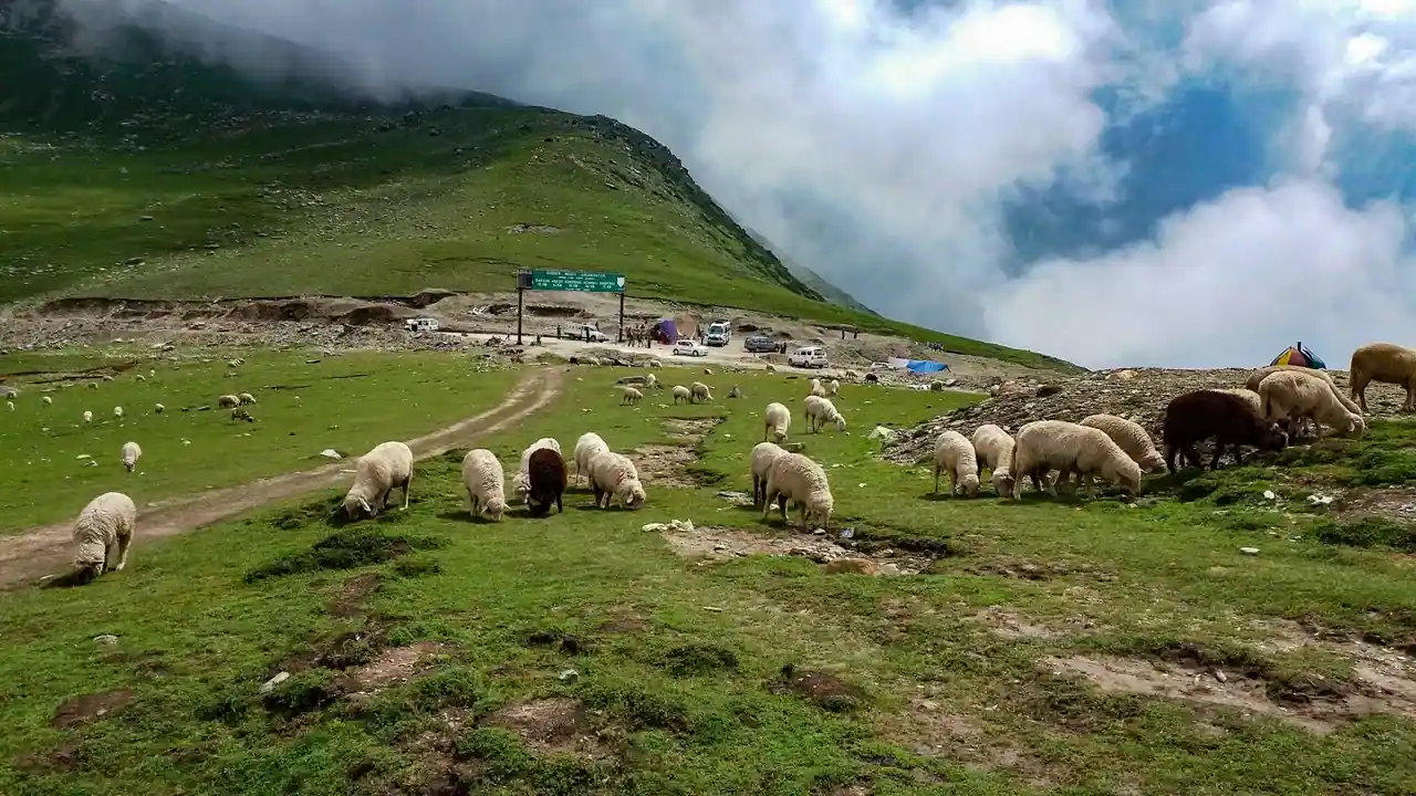 Sinthan Top in summer — view 1, Anantnag district, Kashmir