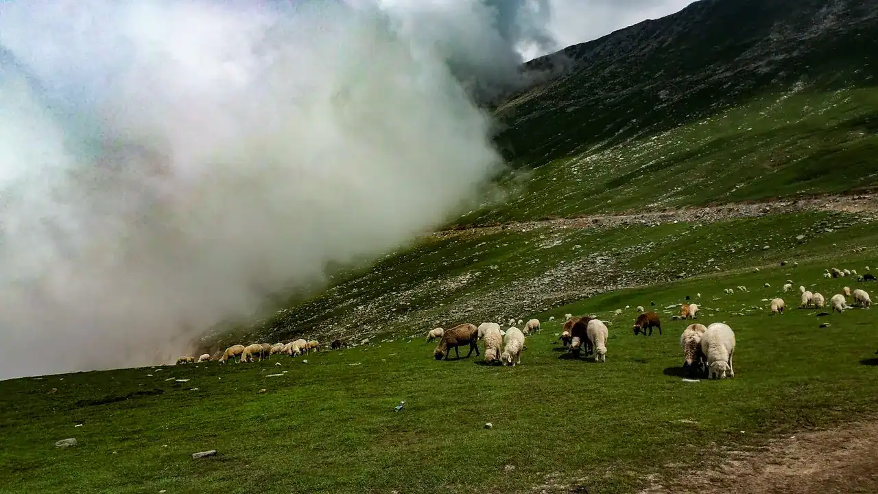 Sinthan Top in summer — view 2, Anantnag district, Kashmir