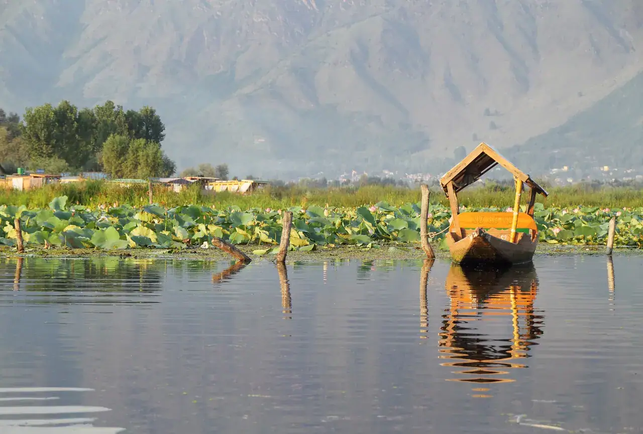 Srinagar — houseboats, chinars and seven centuries of craft, Srinagar district, Kashmir
