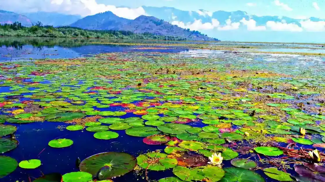 Wular Lake — one of asia's largest freshwater lakes, Bandipora district, Kashmir