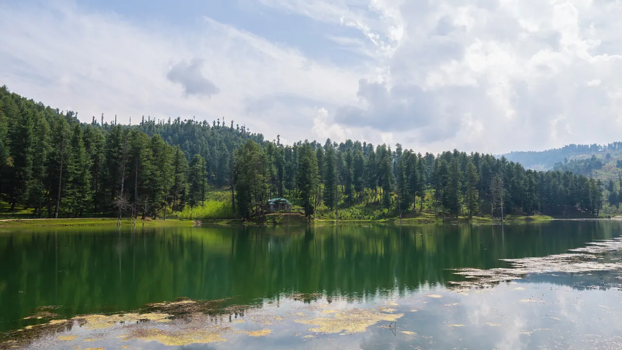 Yusmarg — pine, pasture and the walk to doodh ganga, Budgam district, Kashmir